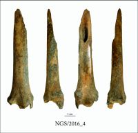 Cronica Cercetărilor Arheologice din România, Campania 2016. Raportul nr. 109, Negrileşti, Şcoala Generală (La Punte, Pin, Curtea Şcolii).<br /> Sectorul 2-Industria-materiilor-dure-animale.<br /><a href='CronicaCAfotografii/2016/109-Negrilesti-GL-Punct-Negrilesti-Curtea-scolii/2-Industria-materiilor-dure-animale/4.jpg' target=_blank>Priveşte aceeaşi imagine într-o fereastră nouă</a>. Titlu: 2-Industria-materiilor-dure-animale