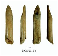 Cronica Cercetărilor Arheologice din România, Campania 2016. Raportul nr. 109, Negrileşti, Şcoala Generală (La Punte, Pin, Curtea Şcolii).<br /> Sectorul 2-Industria-materiilor-dure-animale.<br /><a href='CronicaCAfotografii/2016/109-Negrilesti-GL-Punct-Negrilesti-Curtea-scolii/2-Industria-materiilor-dure-animale/5.jpg' target=_blank>Priveşte aceeaşi imagine într-o fereastră nouă</a>. Titlu: 2-Industria-materiilor-dure-animale