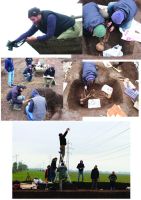 Cronica Cercetărilor Arheologice din România, Campania 2016. Raportul nr. 113, Păuleşti, langa drumul Buda - Ploieşti<br /><a href='CronicaCAfotografii/2016/113-Paulesti-PH/plansa-4.jpg' target=_blank>Priveşte aceeaşi imagine într-o fereastră nouă</a>