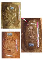 Cronica Cercetărilor Arheologice din România, Campania 2016. Raportul nr. 117, Târgşoru Vechi, La Câmp<br /><a href='CronicaCAfotografii/2016/117-Targsoru-Vechi-PH-Punct-Targsoru-Vechi-Tumul-La-Padure/plansa-2.jpg' target=_blank>Priveşte aceeaşi imagine într-o fereastră nouă</a>