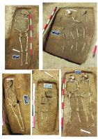 Cronica Cercetărilor Arheologice din România, Campania 2016. Raportul nr. 117, Târgşoru Vechi, La Câmp<br /><a href='CronicaCAfotografii/2016/117-Targsoru-Vechi-PH-Punct-Targsoru-Vechi-Tumul-La-Padure/plansa-3.jpg' target=_blank>Priveşte aceeaşi imagine într-o fereastră nouă</a>