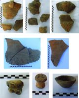 Chronicle of the Archaeological Excavations in Romania, 2016 Campaign. Report no. 118, Teiuş, Situl arheologic nr. 6/ km 30+480 – 30+750<br /><a href='CronicaCAfotografii/2016/118-Teius-AB-Punct-Sit-6/pl-ii.jpg' target=_blank>Display the same picture in a new window</a>