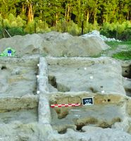 Cronica Cercetărilor Arheologice din România, Campania 2017. Raportul nr. 5, Borduşani, Popina Mare (Popina Borduşani)<br /><a href='CronicaCAfotografii/2017/01-Cercetari-sistematice/005-Bordusani-jud-Ialomita-10-sist/fig-2.jpg' target=_blank>Priveşte aceeaşi imagine într-o fereastră nouă</a>
