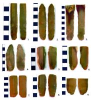 Cronica Cercetărilor Arheologice din România, Campania 2017. Raportul nr. 5, Borduşani, Popina Mare (Popina Borduşani)<br /><a href='CronicaCAfotografii/2017/01-Cercetari-sistematice/005-Bordusani-jud-Ialomita-10-sist/fig-4.jpg' target=_blank>Priveşte aceeaşi imagine într-o fereastră nouă</a>