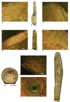 Cronica Cercetărilor Arheologice din România, Campania 2017. Raportul nr. 5, Borduşani, Popina Mare (Popina Borduşani)<br /><a href='CronicaCAfotografii/2017/01-Cercetari-sistematice/005-Bordusani-jud-Ialomita-10-sist/fig-7.jpg' target=_blank>Priveşte aceeaşi imagine într-o fereastră nouă</a>