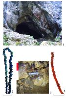 Chronicle of the Archaeological Excavations in Romania, 2017 Campaign. Report no. 11, Cioclovina, Peştera Ponorâci (Cioclovina cu Apă)<br /><a href='CronicaCAfotografii/2017/01-Cercetari-sistematice/011-Cioclovina-com-Bosorod-jud-Hunedoara-pestera/pl-i-cioclovina-cu-apa.jpg' target=_blank>Display the same picture in a new window</a>