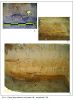 Chronicle of the Archaeological Excavations in Romania, 2017 Campaign. Report no. 18, Cheia, Vatra satului.<br /> Sector ILUSTRATIE-CHEIA-2017.<br /><a href='CronicaCAfotografii/2017/01-Cercetari-sistematice/018-Cheia-jud-Constanta-12-sist/ILUSTRATIE-CHEIA-2017/pl-6.jpg' target=_blank>Display the same picture in a new window</a>. Title: ILUSTRATIE-CHEIA-2017