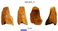 Chronicle of the Archaeological Excavations in Romania, 2017 Campaign. Report no. 28, Istria, Cetate.<br /> Sector IMDA-Histria-Acropola-Centru-Sud\HIS-ACS-IMDA-Figuri.<br /><a href='CronicaCAfotografii/2017/01-Cercetari-sistematice/028-Istria-jud-Constanta-acropola-28/IMDA-Histria-Acropola-Centru-Sud/HIS-ACS-IMDA-Figuri/fig-5.jpg' target=_blank>Display the same picture in a new window</a>. Title: IMDA-Histria-Acropola-Centru-Sud\HIS-ACS-IMDA-Figuri