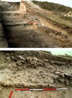 Chronicle of the Archaeological Excavations in Romania, 2017 Campaign. Report no. 35, Jurilovca, Capul Dolojman.<br /> Sector ilustratie.<br /><a href='CronicaCAfotografii/2017/01-Cercetari-sistematice/035-Jurilovca-jud-Tulcea-Argamum-23-sist/ilustratie/pl-8-argamum-sector-incinta-nord.jpg' target=_blank>Display the same picture in a new window</a>. Title: ilustratie