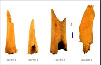 Cronica Cercetărilor Arheologice din România, Campania 2017. Raportul nr. 44, Negrileşti, Şcoala Generală (La Punte, Pin, Curtea Şcolii).<br /> Sectorul Planse.<br /><a href='CronicaCAfotografii/2017/01-Cercetari-sistematice/044-Negrilesti-jud-Galati-IMDA-17sist/ngs-fig-1.jpg' target=_blank>Priveşte aceeaşi imagine într-o fereastră nouă</a>