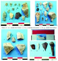 Cronica Cercetărilor Arheologice din România, Campania 2017. Raportul nr. 49, Cheia, Peşterile Balica Mare, Pitică, Feciorilor, Ascunsă, Binder, Ungurească,Balica Mică, Morarilor, Călăştur, La Cuptor<br /><a href='CronicaCAfotografii/2017/01-Cercetari-sistematice/049-PetrestiideJos-CheileTurzii-Jud-Cluj/fig-16-vatra-21.jpg' target=_blank>Priveşte aceeaşi imagine într-o fereastră nouă</a>