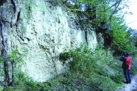 Cronica Cercetărilor Arheologice din România, Campania 2017. Raportul nr. 53, Pojejena, Nucet<br /><a href='CronicaCAfotografii/2017/01-Cercetari-sistematice/053-Pojejena-jud-Cara-Severin-19/fig-2.jpg' target=_blank>Priveşte aceeaşi imagine într-o fereastră nouă</a>