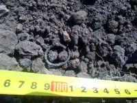 Cronica Cercetărilor Arheologice din România, Campania 2017. Raportul nr. 55, Roşiori, La Humărie (Ţarina Veche).<br /> Sectorul planse\jpeg\pl-3.<br /><a href='CronicaCAfotografii/2017/01-Cercetari-sistematice/055-Rosiori-com-Dulcesti-Jud-Neamt/fig-2-2.JPG' target=_blank>Priveşte aceeaşi imagine într-o fereastră nouă</a>