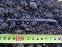 Cronica Cercetărilor Arheologice din România, Campania 2017. Raportul nr. 55, Roşiori, La Humărie (Ţarina Veche).<br /> Sectorul planse\jpeg\pl-3.<br /><a href='CronicaCAfotografii/2017/01-Cercetari-sistematice/055-Rosiori-com-Dulcesti-Jud-Neamt/fig-4-3.JPG' target=_blank>Priveşte aceeaşi imagine într-o fereastră nouă</a>