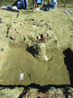 Cronica Cercetărilor Arheologice din România, Campania 2017. Raportul nr. 58, Scânteia, La Nuci (Dealul Bodeştilor).<br /> Sectorul Rezerve.<br /><a href='CronicaCAfotografii/2017/01-Cercetari-sistematice/058-Scanteia-jud-Iasi/fig-10-scanteia-vatra-incaperea-b-stela-2-in-situ.jpg' target=_blank>Priveşte aceeaşi imagine într-o fereastră nouă</a>