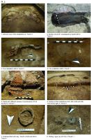 Chronicle of the Archaeological Excavations in Romania, 2017 Campaign. Report no. 67, Teleac, Gruşeţ - Hârburi<br /><a href='CronicaCAfotografii/2017/01-Cercetari-sistematice/067-Teleac-Ciugud-jud-Alba-11/pl-2.jpg' target=_blank>Display the same picture in a new window</a>