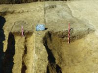 Cronica Cercetărilor Arheologice din România, Campania 2017. Raportul nr. 78, Palazu Mare<br /><a href='CronicaCAfotografii/2017/02-Cercetari-preventive/078-1-CT-str-Tache-Ionescu-parcela-A-467-3-1/5-profil-c1-c1-a.JPG' target=_blank>Priveşte aceeaşi imagine într-o fereastră nouă</a>
