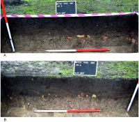 Chronicle of the Archaeological Excavations in Romania, 2017 Campaign. Report no. 109, Mitoc, La Pisc (la Chisc)<br /><a href='CronicaCAfotografii/2017/03-Cercetari-de-diagnostic/109-Mitoc-Pisc-jud-Botosani-29/fig-2.jpg' target=_blank>Display the same picture in a new window</a>