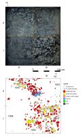 Cronica Cercetărilor Arheologice din România, Campania 2017. Raportul nr. 109, Mitoc, La Pisc (la Chisc)<br /><a href='CronicaCAfotografii/2017/03-Cercetari-de-diagnostic/109-Mitoc-Pisc-jud-Botosani-29/fig-3.jpg' target=_blank>Priveşte aceeaşi imagine într-o fereastră nouă</a>