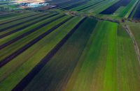 Cronica Cercetărilor Arheologice din România, Campania 2017. Raportul nr. 113, Săcăluşeşti, Dealul Valea Seacă<br /><a href='CronicaCAfotografii/2017/03-Cercetari-de-diagnostic/113-Sacalusesti-com-Agapia-jud-Neamt-67/fig-1.JPG' target=_blank>Priveşte aceeaşi imagine într-o fereastră nouă</a>