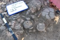 Cronica Cercetărilor Arheologice din România, Campania 2017. Raportul nr. 201, Isaiia, Balta Popii<br /><a href='CronicaCAfotografii/2017/rest-sapaturi-nepublicate/201-Isalia-Popii-Balta-Popii/fig-5.JPG' target=_blank>Priveşte aceeaşi imagine într-o fereastră nouă</a>