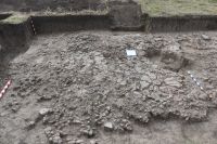 Cronica Cercetărilor Arheologice din România, Campania 2017. Raportul nr. 201, Isaiia, Balta Popii<br /><a href='CronicaCAfotografii/2017/rest-sapaturi-nepublicate/201-Isalia-Popii-Balta-Popii/fig-6.JPG' target=_blank>Priveşte aceeaşi imagine într-o fereastră nouă</a>