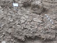 Cronica Cercetărilor Arheologice din România, Campania 2017. Raportul nr. 201, Isaiia, Balta Popii<br /><a href='CronicaCAfotografii/2017/rest-sapaturi-nepublicate/201-Isalia-Popii-Balta-Popii/fig-8.JPG' target=_blank>Priveşte aceeaşi imagine într-o fereastră nouă</a>