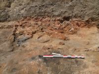 Cronica Cercetărilor Arheologice din România, Campania 2017. Raportul nr. 202, Pietrele, Gorgana<br /><a href='CronicaCAfotografii/2017/rest-sapaturi-nepublicate/202-Baneasa-Giurgiu-Pietrele/fig-1.JPG' target=_blank>Priveşte aceeaşi imagine într-o fereastră nouă</a>