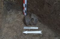 Cronica Cercetărilor Arheologice din România, Campania 2017. Raportul nr. 202, Pietrele, Gorgana<br /><a href='CronicaCAfotografii/2017/rest-sapaturi-nepublicate/202-Baneasa-Giurgiu-Pietrele/fig-5.JPG' target=_blank>Priveşte aceeaşi imagine într-o fereastră nouă</a>