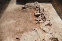 Cronica Cercetărilor Arheologice din România, Campania 2017. Raportul nr. 202, Pietrele, Gorgana<br /><a href='CronicaCAfotografii/2017/rest-sapaturi-nepublicate/202-Baneasa-Giurgiu-Pietrele/fig-6.JPG' target=_blank>Priveşte aceeaşi imagine într-o fereastră nouă</a>