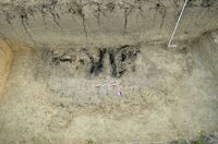 Cronica Cercetărilor Arheologice din România, Campania 2017. Raportul nr. 210, Seaca, Capul Dealului (Gura Secii)<br /><a href='CronicaCAfotografii/2017/rest-sapaturi-nepublicate/210-Logresti-Gorj-Seaca/figura-4.jpg' target=_blank>Priveşte aceeaşi imagine într-o fereastră nouă</a>