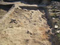 Cronica Cercetărilor Arheologice din România, Campania 2017. Raportul nr. 215, Pantelimon, Cetate<br /><a href='CronicaCAfotografii/2017/rest-sapaturi-nepublicate/215-Pantelimonu-de-Sus-Constanta-Sud-Vest/suprafata-a-segmentul-nordic-complexe-conturate-vedere-catre-s.JPG' target=_blank>Priveşte aceeaşi imagine într-o fereastră nouă</a>