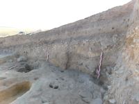 Cronica Cercetărilor Arheologice din România, Campania 2017. Raportul nr. 215, Pantelimon, Cetate<br /><a href='CronicaCAfotografii/2017/rest-sapaturi-nepublicate/215-Pantelimonu-de-Sus-Constanta-Sud-Vest/suprafata-a-segmentul-sud-vestic-profilul-de-sud.JPG' target=_blank>Priveşte aceeaşi imagine într-o fereastră nouă</a>