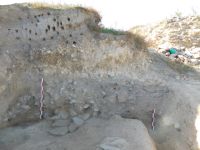 Cronica Cercetărilor Arheologice din România, Campania 2017. Raportul nr. 215, Pantelimon, Cetate<br /><a href='CronicaCAfotografii/2017/rest-sapaturi-nepublicate/215-Pantelimonu-de-Sus-Constanta-Sud-Vest/suprafata-a-segmentul-sud-vestic-profilul-de-vest.JPG' target=_blank>Priveşte aceeaşi imagine într-o fereastră nouă</a>