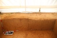 Cronica Cercetărilor Arheologice din România, Campania 2017. Raportul nr. 220, Temereşti, Dealul Vinii<br /><a href='CronicaCAfotografii/2017/rest-sapaturi-nepublicate/220-Teremesti-Faget-Timis/figure-2.JPG' target=_blank>Priveşte aceeaşi imagine într-o fereastră nouă</a>