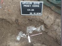 Chronicle of the Archaeological Excavations in Romania, 2018 Campaign. Report no. 2, Alba Iulia, Sediul guvernatorului consular.<br /> Sector Apulum-2019\Ilustratie.<br /><a href='CronicaCAfotografii/2018/1-sistematice/002-Alba-Iulia-Palatul-Guv-AB-s/Apulum-2019/Ilustratie/pl-viic.jpg' target=_blank>Display the same picture in a new window</a>. Title: Apulum-2019\Ilustratie