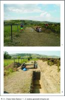 Chronicle of the Archaeological Excavations in Romania, 2018 Campaign. Report no. 18, Cheia, Pazvant II.<br /> Sector Planse-I-XI-CHEIA-2018.<br /><a href='CronicaCAfotografii/2018/1-sistematice/018-Cheia-Gradina-CT-s/Planse-I-XI-CHEIA-2018/pl-ii.jpg' target=_blank>Display the same picture in a new window</a>. Title: Planse-I-XI-CHEIA-2018