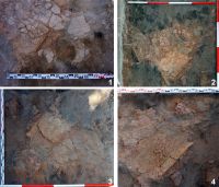 Chronicle of the Archaeological Excavations in Romania, 2018 Campaign. Report no. 19, Costeşti, Cier (Lângă Şcoală)<br /><a href='CronicaCAfotografii/2018/1-sistematice/019-Costesti-IS-s/fig-3-l-9-detalii.jpg' target=_blank>Display the same picture in a new window</a>