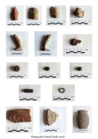 Chronicle of the Archaeological Excavations in Romania, 2018 Campaign. Report no. 34, Istria, Cetate.<br /> Sector Ilustratie-SAR-2018.<br /><a href='CronicaCAfotografii/2018/1-sistematice/034-Istria-Histria-Sector-Sud-CT-s/plansa-3-2.jpg' target=_blank>Display the same picture in a new window</a>