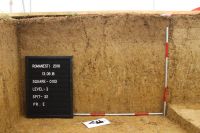 Cronica Cercetărilor Arheologice din România, Campania 2018. Raportul nr. 62, Româneşti, Dumbraviţa I<br /><a href='CronicaCAfotografii/2018/1-sistematice/062-Romanesti-TM-s/fig-2.JPG' target=_blank>Priveşte aceeaşi imagine într-o fereastră nouă</a>