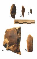 Cronica Cercetărilor Arheologice din România, Campania 2018. Raportul nr. 62, Româneşti, Dumbraviţa I<br /><a href='CronicaCAfotografii/2018/1-sistematice/062-Romanesti-TM-s/fig-4.jpg' target=_blank>Priveşte aceeaşi imagine într-o fereastră nouă</a>