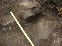 Cronica Cercetărilor Arheologice din România, Campania 2018. Raportul nr. 64, Roşiori, La Humărie (Ţarina Veche).<br /> Sectorul planse\jpeg\pl-3.<br /><a href='CronicaCAfotografii/2018/1-sistematice/064-Rosiori-Tarina-veche-NT-s/planse/jpeg/pl-3/pl-iii-2.JPG' target=_blank>Priveşte aceeaşi imagine într-o fereastră nouă</a>. Titlu: planse\jpeg\pl-3