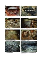 Chronicle of the Archaeological Excavations in Romania, 2018 Campaign. Report no. 80, Teleac, Gruşeţ - Hârburi<br /><a href='CronicaCAfotografii/2018/1-sistematice/080-Teleac-Ciugud-AB-s/pl-2.jpg' target=_blank>Display the same picture in a new window</a>