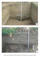 Chronicle of the Archaeological Excavations in Romania, 2018 Campaign. Report no. 105, Coşoteni<br /><a href='CronicaCAfotografii/2018/2-preventive/105-Cososteni-TR-p/plansa-09.JPG' target=_blank>Display the same picture in a new window</a>