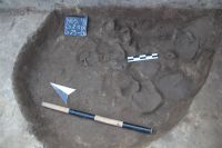 Cronica Cercetărilor Arheologice din România, Campania 2018. Raportul nr. 117, Negrileşti, Şcoala Generală (La Punte, Pin, Curtea Şcolii).<br /> Sectorul Foto.<br /><a href='CronicaCAfotografii/2018/2-preventive/117-Negrilesti-curtea-scolii-GL-p/Foto/fig-4-4-pl18-3.jpg' target=_blank>Priveşte aceeaşi imagine într-o fereastră nouă</a>. Titlu: Foto