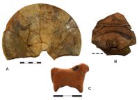 Cronica Cercetărilor Arheologice din România, Campania 2018. Raportul nr. 138, Ştefăneşti, Hulboca<br /><a href='CronicaCAfotografii/2018/3-diagnostic/138-Stefanesti-Hulboca-BT-d/fig-5.jpg' target=_blank>Priveşte aceeaşi imagine într-o fereastră nouă</a>