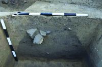 Cronica Cercetărilor Arheologice din România, Campania 2019. Raportul nr. 10, Vadu Săpat, Puţul Tătarului (Budureasca 4 Nord)<br /><a href='CronicaCAfotografii/2019/01-sistematice/010-budureasca-ph-putul-tatarului-s/pl-ii-1.jpg' target=_blank>Priveşte aceeaşi imagine într-o fereastră nouă</a>