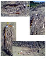 Chronicle of the Archaeological Excavations in Romania, 2019 Campaign. Report no. 19, Cheia, Pazvant I<br /><a href='CronicaCAfotografii/2019/01-sistematice/019-cheia-gradina-ct-pazvant-s/pl-3.jpg' target=_blank>Display the same picture in a new window</a>