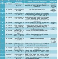 Chronicle of the Archaeological Excavations in Romania, 2019 Campaign. Report no. 20, Costeşti, Cier (Lângă Şcoală)<br /><a href='CronicaCAfotografii/2019/01-sistematice/020-costesti-is-cier-langa-scoala-s/costesti-tabel-morti-019-ok-3.jpg' target=_blank>Display the same picture in a new window</a>