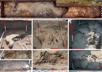 Chronicle of the Archaeological Excavations in Romania, 2019 Campaign. Report no. 20, Costeşti, Cier (Lângă Şcoală)<br /><a href='CronicaCAfotografii/2019/01-sistematice/020-costesti-is-cier-langa-scoala-s/fig-2-costesti-019-s-ii-l5b-copy.jpg' target=_blank>Display the same picture in a new window</a>